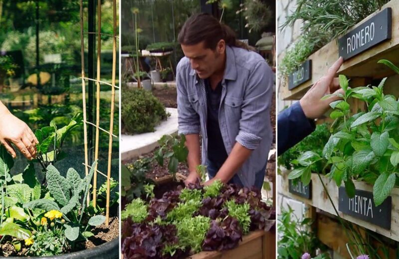 Guía completa para que puedas crear tu jardinera huerto urbano