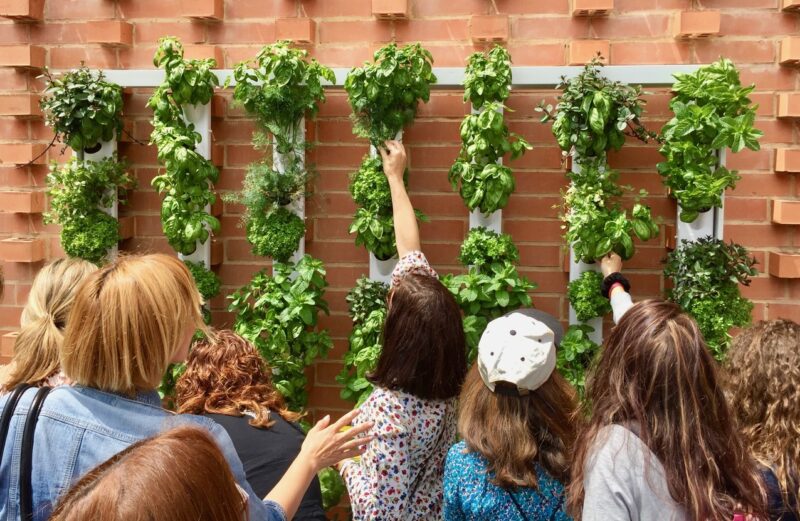 Huerto urbano vertical: cultivo sostenible en espacios reducidos