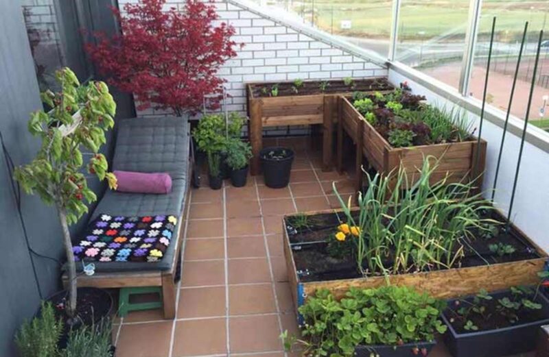 Huertos urbanos en la terraza: plantas y cuidados esenciales