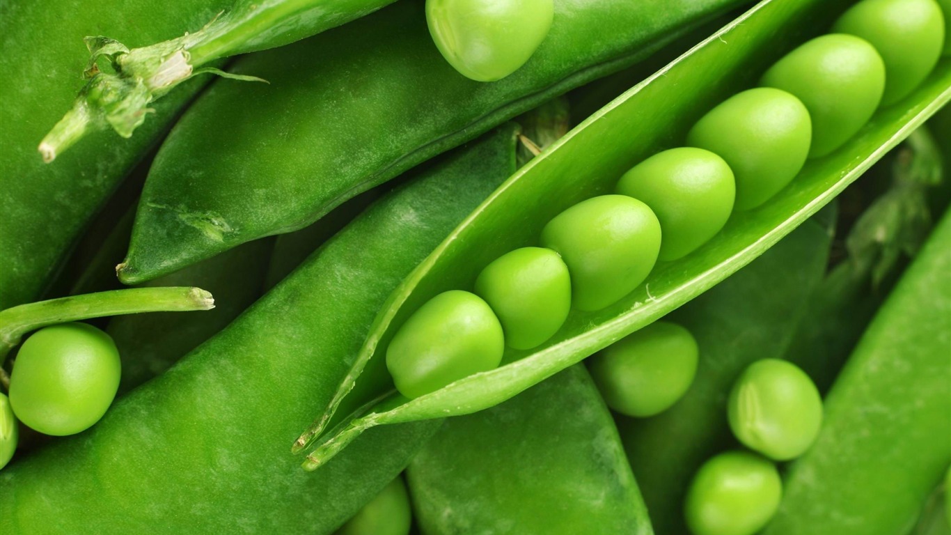 Cómo sembrar plantas de guisantes