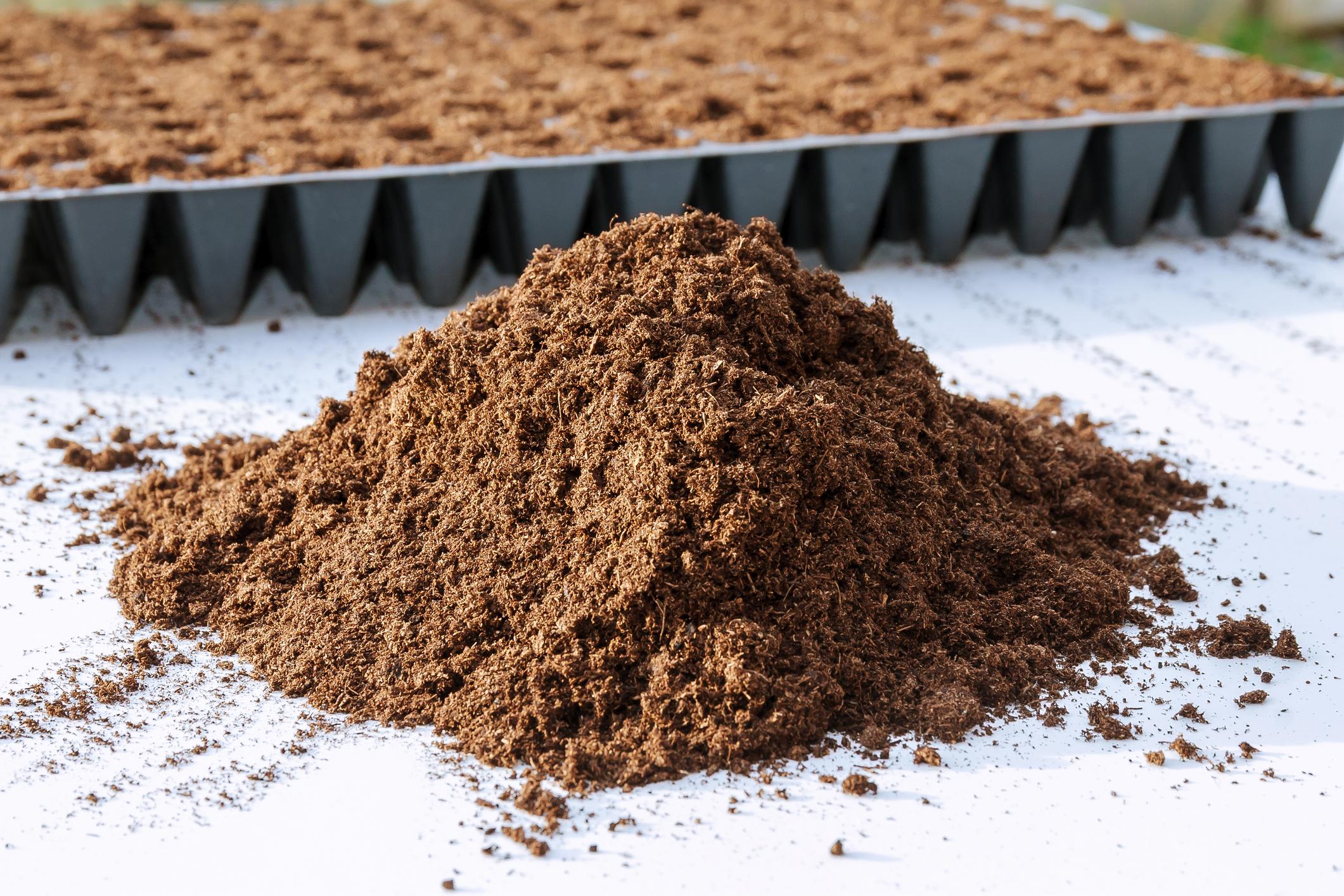 La turba para las plantas es un recurso valioso en la jardinería y la horticultura debido a sus propiedades únicas que mejoran la estructura del suelo